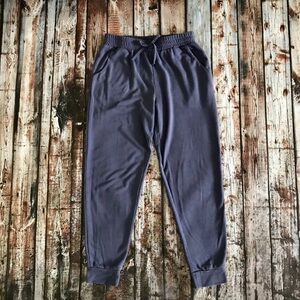 Splendid Lightweight Knit Blue Joggers